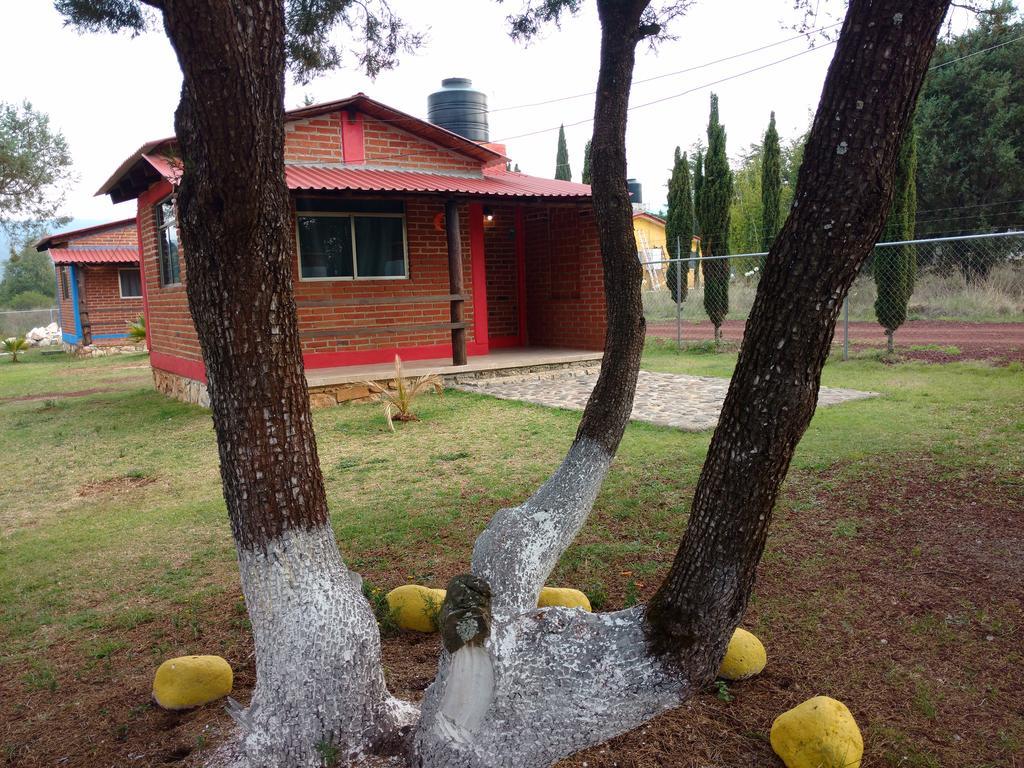 Cabanas Gotcha Huasca Hotell Huasca de Ocampo Eksteriør bilde